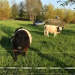 Ferienresidenz Am Salzhaff Apartmán