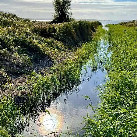 Apartman Ferienresidenz Am Salzhaff *