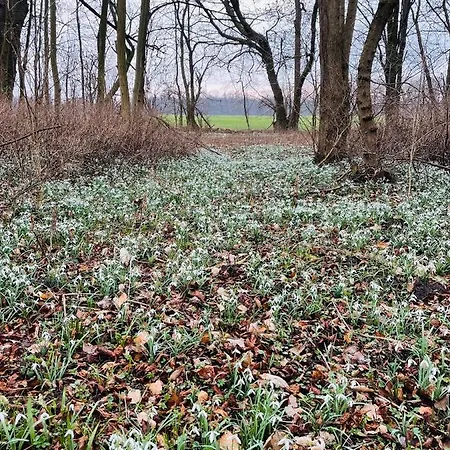 Apartman Ferienresidenz Am Salzhaff Blengow