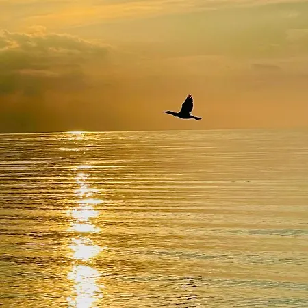 Ferienresidenz Am Salzhaff Blengow