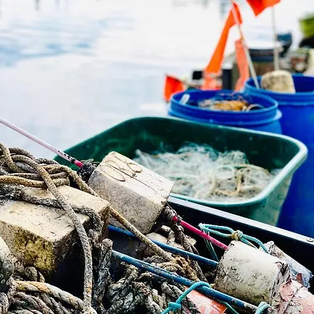 Ferienresidenz Am Salzhaff * Blengow