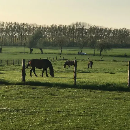 Apartment Ferienresidenz Am Salzhaff Blengow