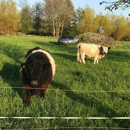 Ferienresidenz Am Salzhaff Apartman
