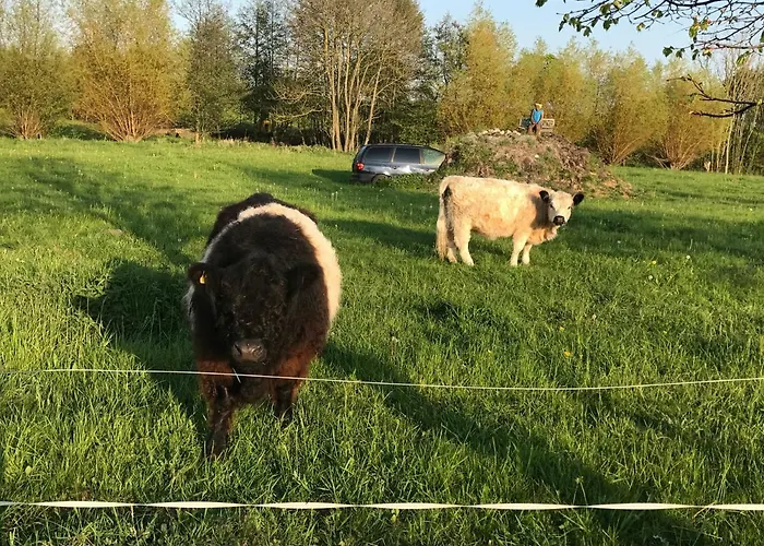 Ferienresidenz Am Salzhaff Apartamento